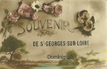 Souvenir - Saint Georges Sur Loire