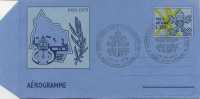 VATICANO  - AEROGRAMMA N. 13 - ANNO 1979  - ANNIVERSARIO - LIRE 220 - ANNULLO SPECIALE - Entiers Postaux