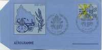 VATICANO  - AEROGRAMMA N. 13 - ANNO 1979  - ANNIVERSARIO - LIRE 220 - ANNULLO SPECIALE - Entiers Postaux