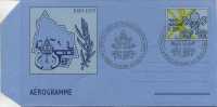 VATICANO  - AEROGRAMMA N. 13 - ANNO 1979  - ANNIVERSARIO - LIRE 220 - ANNULLO SPECIALE - Entiers Postaux