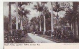 B4773 Royal Palms Spanish Town Jamaica W I  Not Used Perfect  Shape - Jamaica