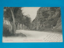 16) Confolens - Route De Saint-germain  -  Année 1900 - EDIT - Cassan - Confolens