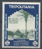 1934 TRIPOLITANIA MOSTRA D'ARTE COLONIALE 1,25 LIRE MNH ** - RR9400 - Tripolitania