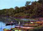 89 CHAMPIGNY SUR YONNE Et Ses Environs PORT RENARD Les Bords De L'Yonne, Barques - Champigny