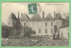 45 ARTENAY - Chateau D'Auvilliers - Artenay