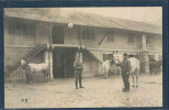 Bière, Soldats, Chevaux, Military, Militaria - Bière