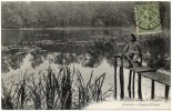 Delcampe - Chaville - étang D'Ursine - Chaville