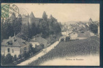 Grandson, Château, Vignes, - Grandson