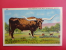 Texas Long Horn  Steer   Linen No Cancel -- -------      -------- Ref 347 - Altri & Non Classificati