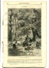 Le Chêne Du Tasse 1864 - Revues Anciennes - Avant 1900