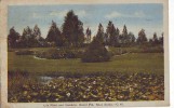 B5273 Nova Scotia Grand Pre Lily Pond And Gardens Used Perfect  Shape - Other & Unclassified