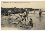 PORNICHET  - A Bonne Source, Pêcheuses De Palourdes. - Pornichet