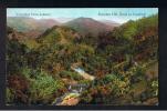 RB 804 - Early Jamaica Postcard - Brandon Hill - Road To Castleton - Jamaica