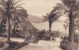 CARTE POSTALE ANCIENNE,MONACO,MONTE CARLO,BORD DE MER,PALMIER,PARC,prés ROQUEBRUNE - Other & Unclassified