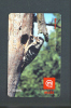 SLOVENIA  -  Mobitel Remote Phonecard/Bird As Scan - Slowenien