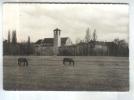 CPM DPT 65 TOURNAY ABBAYE DE NOTRE DAME - Tournay