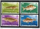 TRISTAN DA CUNHA - Poissons - Neufs *** // Mnh - Tristan Da Cunha