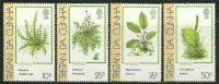 TRISTAN DA CUNHA - Plantes, Fougeres -  Neufs *** // Mnh - Tristan Da Cunha