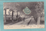 62  -  BETHUNE .  -  L´Allée Des Marronniers -  1903 - CARTE PRECURSEUR ANIMEE  - - Bethune