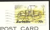 Barbados Bathsheba West Indien 1985 - Barbados