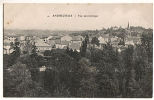 CPA 42 ANDREZIEUX - Vue Panoramique - Andrézieux-Bouthéon