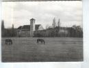 CPM DPT 65 TOURNAY ABBAYE DE NOTRE DAME - Tournay