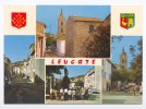 Leucate. Village. Multivues. - Leucate