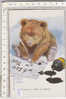 PO0960B# Illustrata LAWSON WOOD - ORSO - BEAR - INCHIOSTRO - PENNA - SCRITTURA  No VG - Wood, Lawson