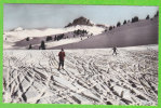 THOLLON LES MEMISES - Pistes De Ski Des Mémises (Dentelée). - Thollon