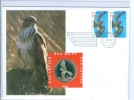 Nederland Stamps On First Day Cover And ECU Letter - Birds Of Frey - Variétés Et Curiosités