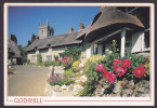 United Kingdom PPC England Godshill Isle Of Wight 1995 - Andere & Zonder Classificatie