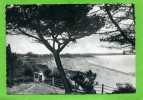 LANCIEUX 1953 LA PLAGE PRISE DE KER GENEVIEVE CARTE EN BON ETAT - Lancieux