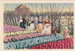 Lisse, Hillegom Of Sassenheim - Hollandse Bloembollenvelden / Dutch Flower Fields, Costumes, 1950´s? (4). - Lisse