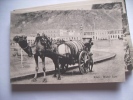 Jemen Yemen Aden Camel And Water Cart - Yemen