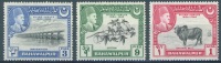BAHAWALPUR-  1949 - MLH/*-  IRRIGATION COTON ZEBU SOUVERAIN -  Yv 18+20-21 - Lot 4690 - Bahawalpur
