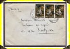 Art  -  1971  -  Lettre Postée à Girona  -  Nature-morte Tableau De Chasse  -  Espagne - 1971-80 Cartas