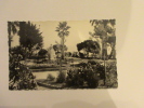 ANTIBES LE SQUAR ALBERT 1ER ET LES JARDINS FLEURIES 1954 - Antibes - Altstadt