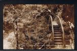 RB 807 - Real Photo Postcard - Circular Bridge Devil's Bridge Aberystwyth Cardiganshire Wales - Cardiganshire