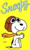 POSTER  SNOOPY  Annees 1980 - Afiches & Offsets