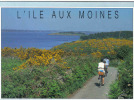 Carte Postale 56. Île Aux Moines  Trés Beau Plan - Ile Aux Moines