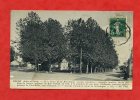 * BLERE-Place De La République(ancien Cimetière):chapelle Funèbre élevé Par Jean De Seigne...(Carte Voyagée) - Bléré