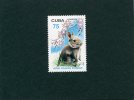 Cuba 1999.Ano Chino Lunar.MNH**.Rabbit.Lapin.Rabbits.apins.Conejo.Conigli.Kaninchen.Konijn.Konijnen. Zodiac.Chinese Year - Lapins