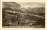 Flims - Fidaz Und Flimserstein              1916 - Flims