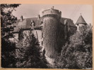 COURPIERE - Chateau D´Auteribes - CPSM Dentelée - Courpiere