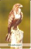 TARJETA DE ALEMANIA DE UN AGUILA  (BIRD-PAJARO-EAGLE) - Águilas & Aves De Presa