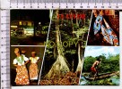 GUYANE FRANCAISE -  5 Vues  :  Place Des Palmistes - La Forêt Vierge - Pagaies BONI - Danses - Indien WAYANA  En Canot - Sonstige & Ohne Zuordnung