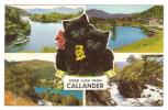 Callander - Good Luck From Callander - Cute Cats - 1972 - Stirlingshire