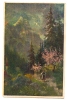 ISSUED BY THE COMPANY OF A VOLUNTARY FIRE KNJAŽEVAC-OLD POST CARD- Not Traveled - Ante 1900