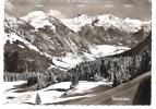 Germany - Hindelang Und Hinterstein - Blick Ins Hintersteiner Tal - Hindelang