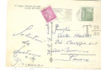 STORIA POSTALE - SEGNATASSE S  £. 20 - S 114 - SU CARTOLINA  DALL'ESTERO  T 20/60 - Taxe